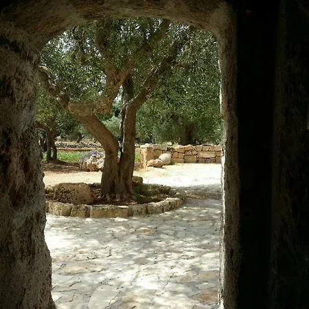 Casa Tra Gli Ulivi.